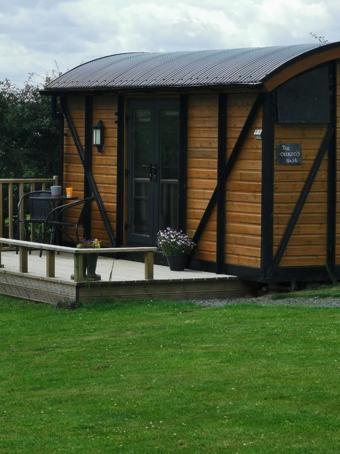 Вілла Pen-Rhos Luxury Glamping "Cuckoo'S Nest" Лландріндод-Веллс Екстер'єр фото