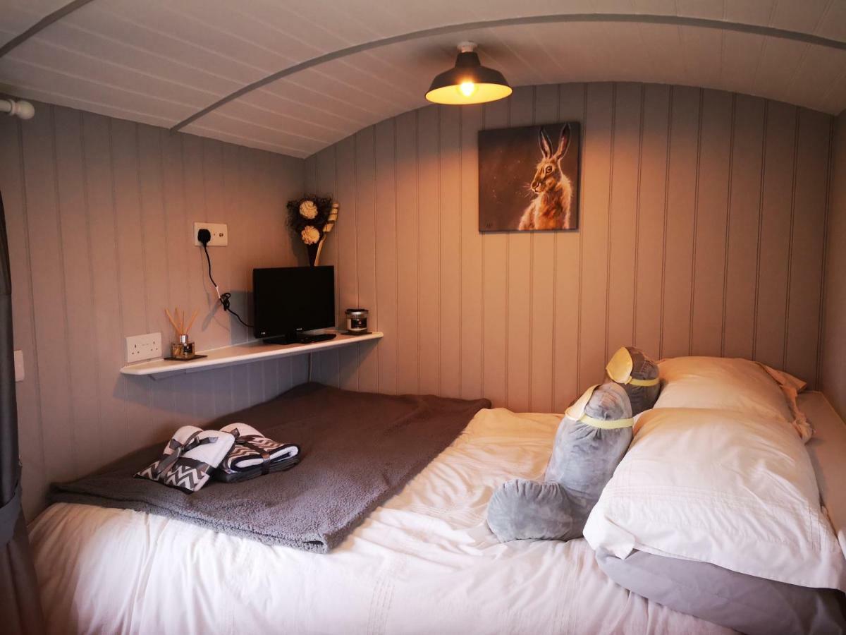 Вілла Pen-Rhos Luxury Glamping "Cuckoo'S Nest" Лландріндод-Веллс Екстер'єр фото